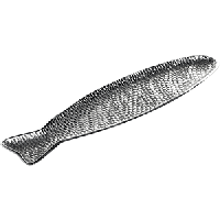Блюдо сервировочное «Фиш&Фиш» для рыбы;алюмин.;,H=15,L=450,B=110мм;серебрист.