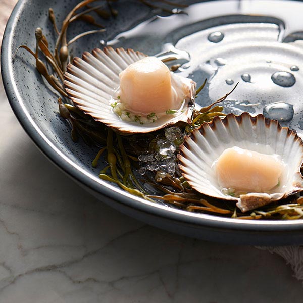 Тарелка «Поттерс»;фарфор;D=26,7см;синий