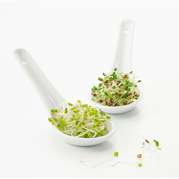 Ложка для мисосупа;фарфор;,H=55,L=155,B=135мм;белый