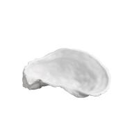 Блюдо для подачи «Медитер» для презентаций;фарфор;,H=4,L=12,B=7см;белый,матовый