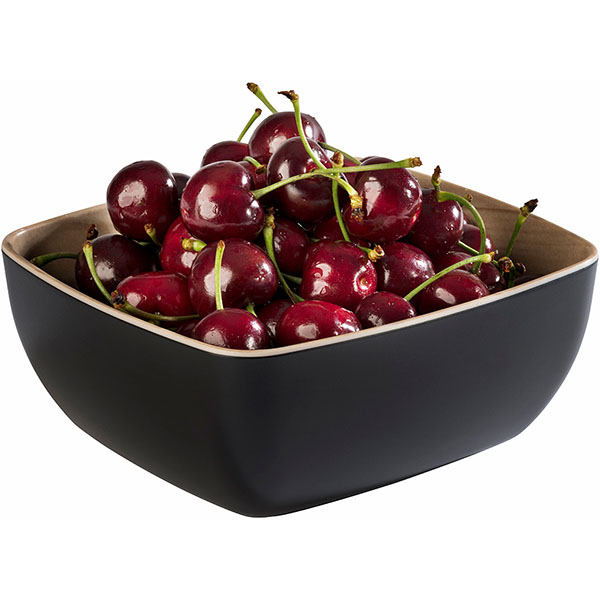 Салатник;пластик;1л;,L=17,6,B=16,2см;черный,бежев.