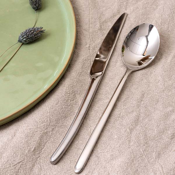 Ложка столовая «Аляска»;сталь нерж.;,L=210/60,B=4мм;металлич.