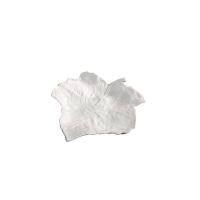 Тарелка «Ботаника» для презентаций;фарфор;,H=35,L=175,B=165мм;белый,матовый