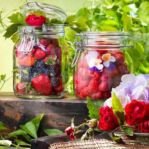 Банка «Фидо» квадратная с крышкой;стекло;1,65л;,H=22,L=10,6,B=10,6см;прозр.