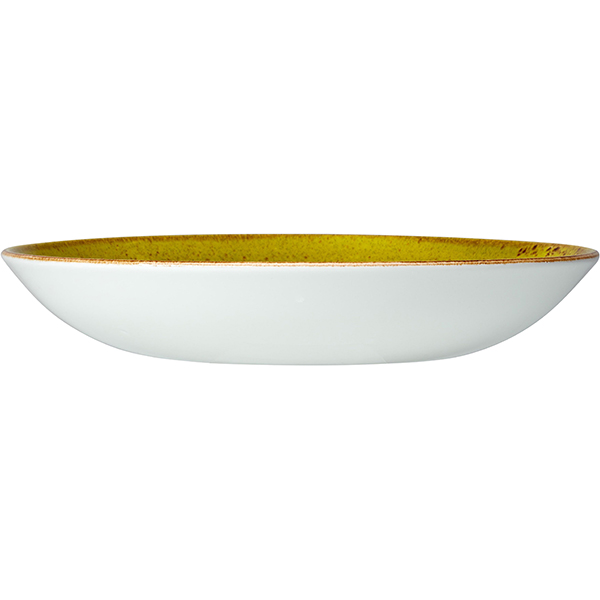 Салатник «Крафт Эппл»;фарфор;1л;D=255,H=35мм;желто-зел.