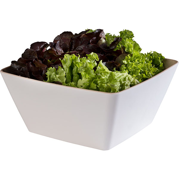 Салатник «Фрида»;пластик;3,5л;,H=12,L=25,B=25см;белый,бежев.