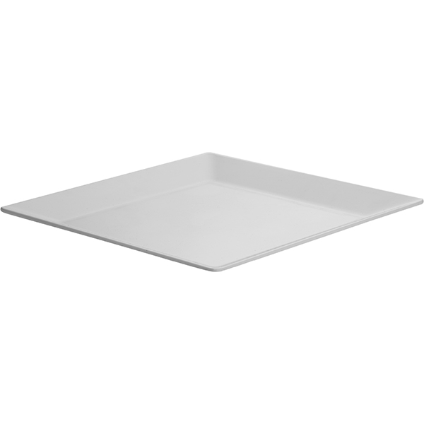 Блюдо;пластик;,L=51,B=51см;белый