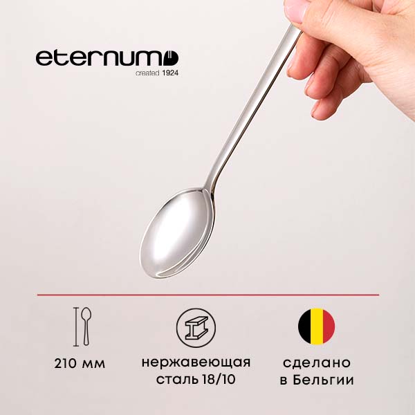 Ложка столовая «Аляска»;сталь нерж.;,L=210/60,B=4мм;металлич.