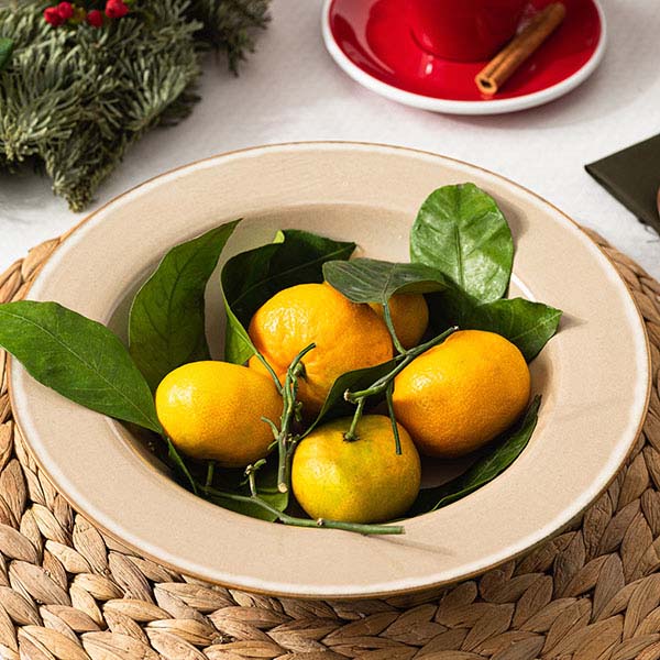 Тарелка глубокая;керамика;D=213,H=50мм;серый,синий