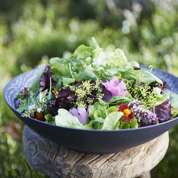 Салатник «Арборесценс»;фарфор;175мл;D=140,H=32мм;черный,серый