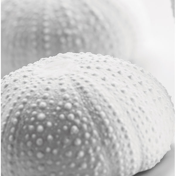 Салатник «Медитер»;фарфор;,H=35,L=65,B=80мм;белый,матовый