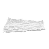 Тарелка «Ботаника» для презентаций;фарфор;,L=24,B=12см;белый,матовый