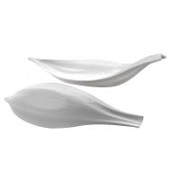 Тарелка «Ботаника» для презентаций;фарфор;,H=65,L=360,B=85мм;белый,матовый