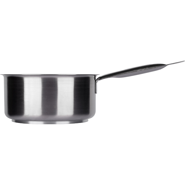 Сотейник (индукция);сталь нерж.;3,1л;D=20,H=10,5,L=40,5,B=22см;металлич.