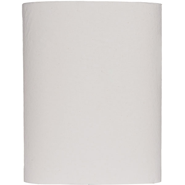 Полотенца в рулоне с центр.вытяжкой 1-сл.120м[12шт];белый