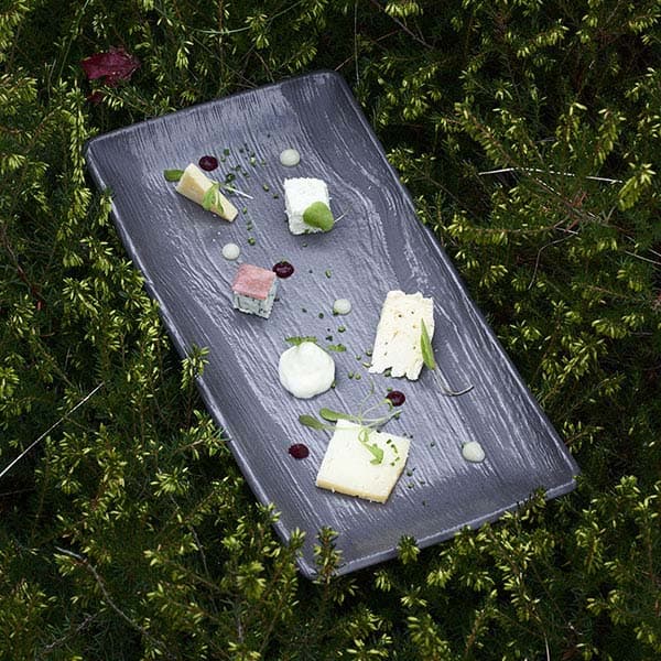 Блюдо «Арборесценс» прямоугольное;керамика;,L=30,B=12см;