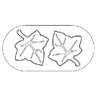 Форма кондитерская «Лист»;пластик;,L=5,B=5см;черный