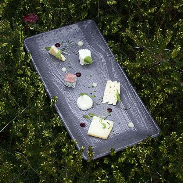 Блюдо «Арборесценс» прямоугольное;фарфор;,H=24,L=320,B=230мм;