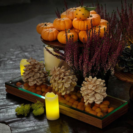 Поднос для подачи;орех;,H=40,L=530,B=162мм;тем.дерево