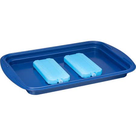 Поднос фуршетный с крышкой и охладительным элементом;полистирол,сталь нерж.;,H=14,L=43,B=29см