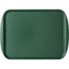 Поднос прямоугольный;полипроп.;,L=42,B=30см;зелен.