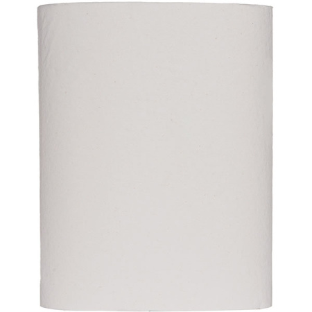 Полотенца в рулоне с центр.вытяжкой 1-сл.120м[12шт];белый